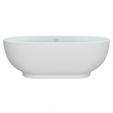 HEATGENE 70 Inches Acrylic Freestanding Soaking Bathtub, UPC Certified, Drain & Overflow Assembly Included HG436